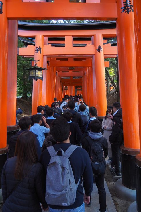 Sanctuaire Fushimi Inari (Kyoto)
Altitude : 100 mètres