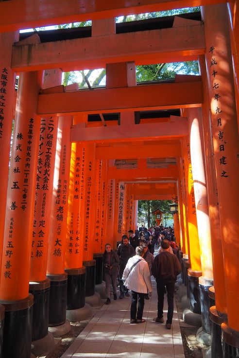 Sanctuaire Fushimi Inari (Kyoto)
Altitude : 100 mètres