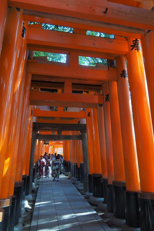 Sanctuaire Fushimi Inari (Kyoto)
Altitude : 101 mètres