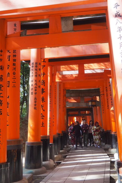 Sanctuaire Fushimi Inari (Kyoto)
Altitude : 96 mètres