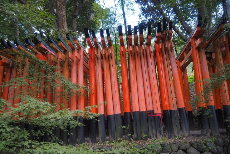 Sanctuaire Fushimi Inari (Kyoto)
Altitude : 89 mètres