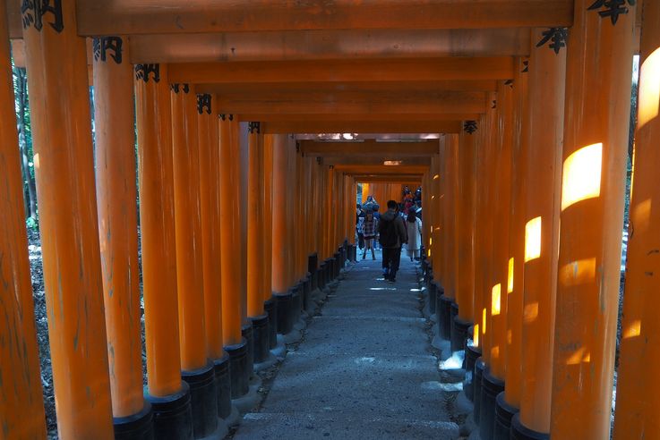 Sanctuaire Fushimi Inari (Kyoto)
Altitude : 95 mètres