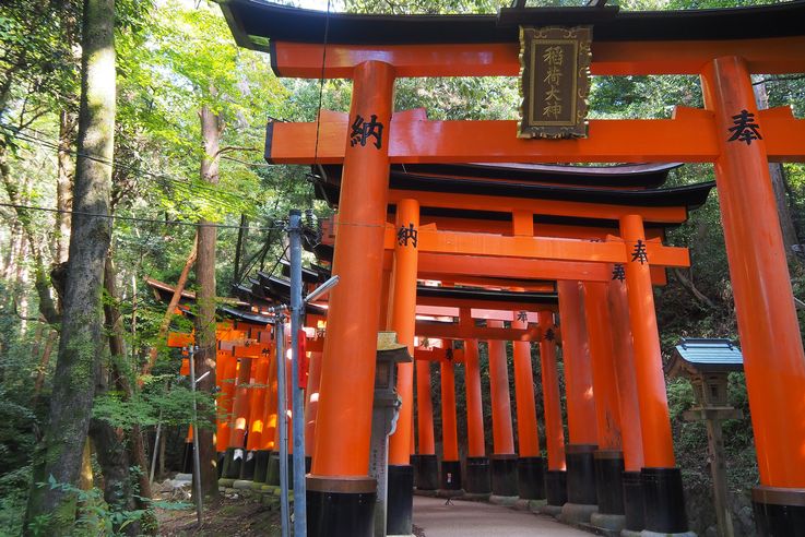 Sanctuaire Fushimi Inari (Kyoto)
Altitude : 87 mètres