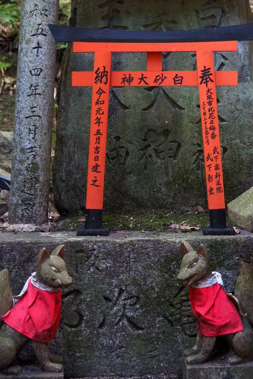 Sanctuaire Fushimi Inari (Kyoto)
Altitude : 100 mètres