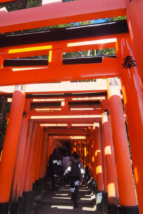 Sanctuaire Fushimi Inari (Kyoto)
Altitude : 110 mètres