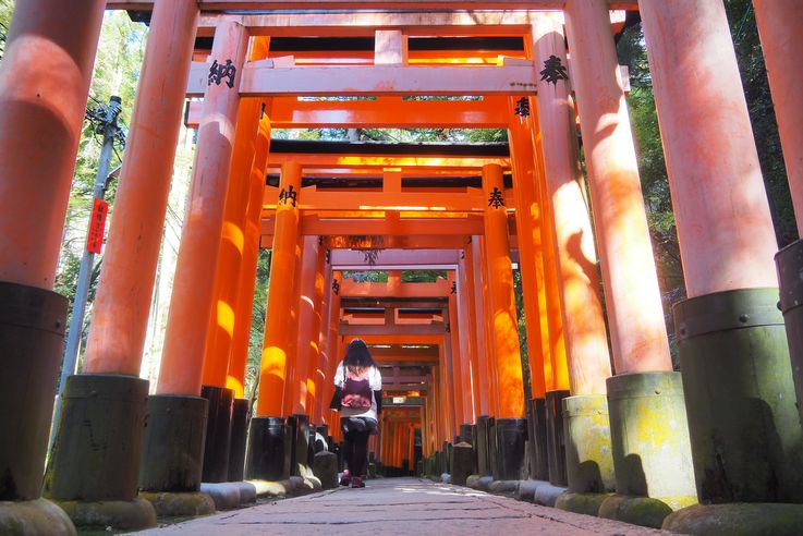 Sanctuaire Fushimi Inari (Kyoto)
Altitude : 204 mètres