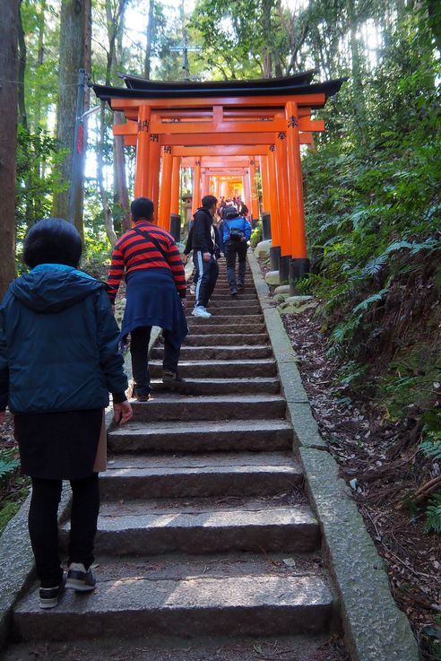 Sanctuaire Fushimi Inari (Kyoto)
Altitude : 239 mètres