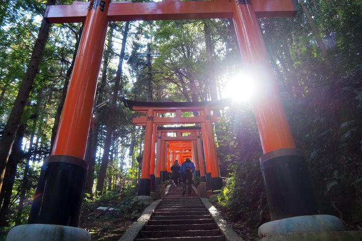 Sanctuaire Fushimi Inari (Kyoto)
Altitude : 241 mètres