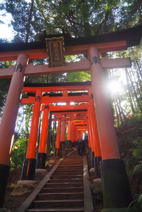 Sanctuaire Fushimi Inari (Kyoto)
Altitude : 243 mètres