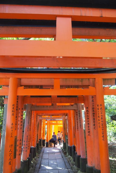 Sanctuaire Fushimi Inari (Kyoto)
Altitude : 263 mètres