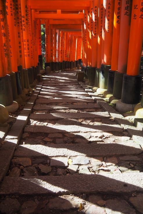 Sanctuaire Fushimi Inari (Kyoto)
Altitude : 262 mètres