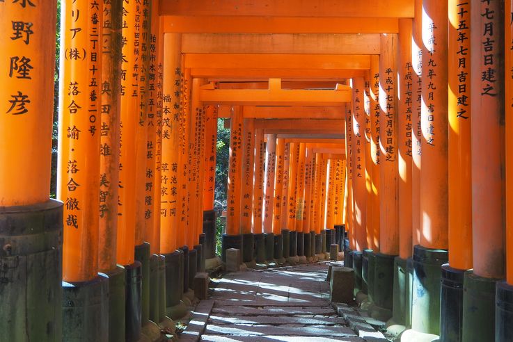 Sanctuaire Fushimi Inari (Kyoto)
Altitude : 263 mètres