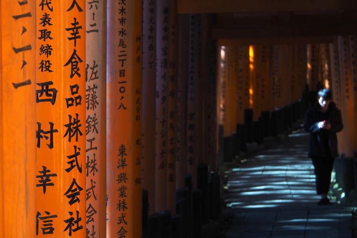 Sanctuaire Fushimi Inari (Kyoto)
Altitude : 263 mètres