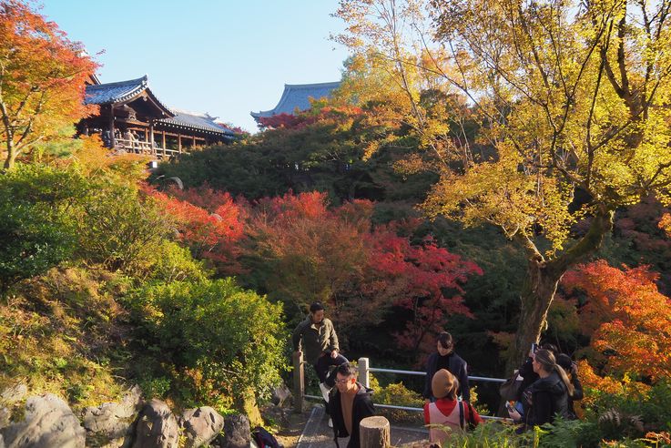 Sanctuaire Tofukuji de Kyoto
Altitude : 88 mètres