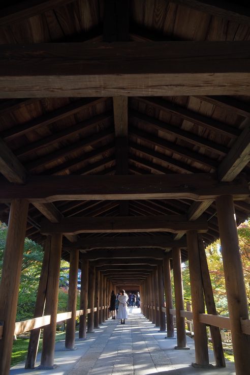 Sanctuaire Tofukuji de Kyoto
Altitude : 93 mètres