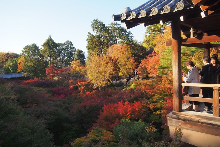 Sanctuaire Tofukuji de Kyoto
Altitude : 62 mètres