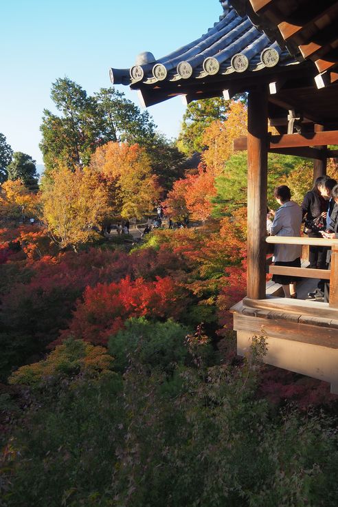 Sanctuaire Tofukuji de Kyoto
Altitude : 61 mètres