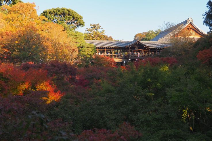 Sanctuaire Tofukuji de Kyoto
Altitude : 94 mètres