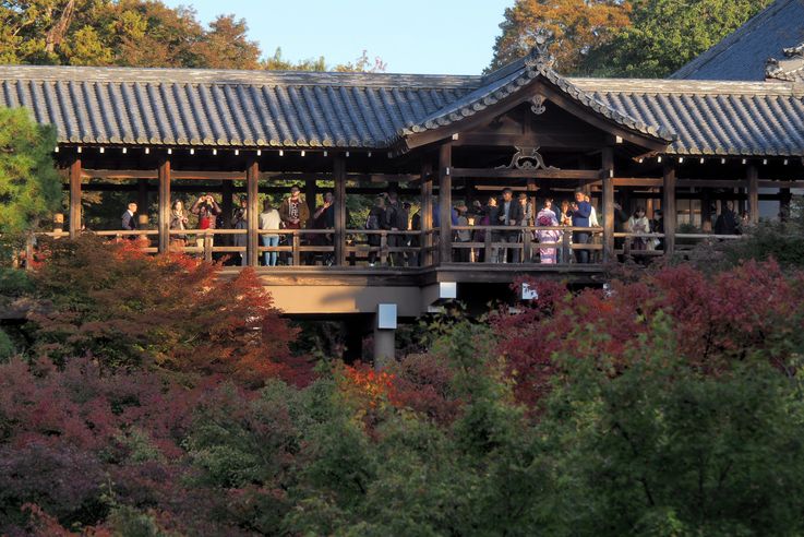 Sanctuaire Tofukuji de Kyoto
Altitude : 94 mètres