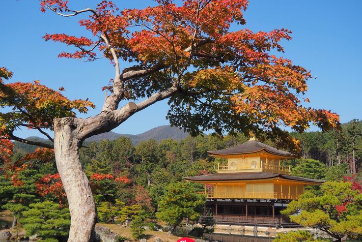 Pavillon D'Or Kinkaku-Ji (Kyoto)
Altitude : 136 mètres