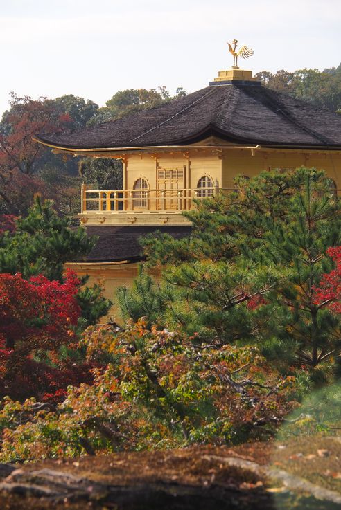 Pavillon D'Or Kinkaku-Ji (Kyoto)
Altitude : 140 mètres