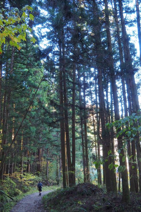 Magome Juku
Altitude : 793 mètres