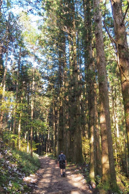 Magome Juku
Altitude : 778 mètres