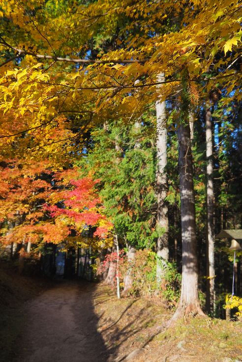 Magome Juku
Altitude : 611 mètres