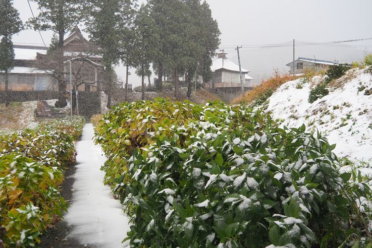 Temple Ryusuiji Dainichibou (Tsuruoka)
Altitude : 356 mètres