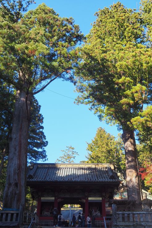 Nikko Toshogu
Altitude : 715 mètres