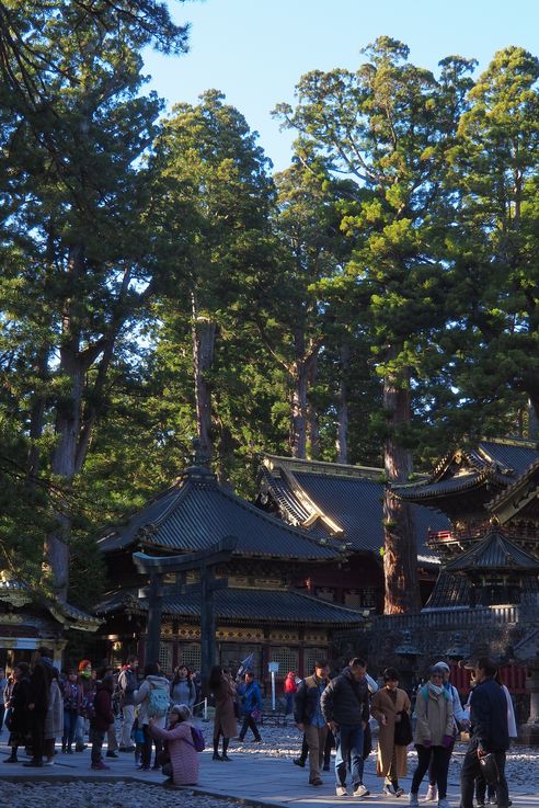 Nikko Toshogu
Altitude : 705 mètres