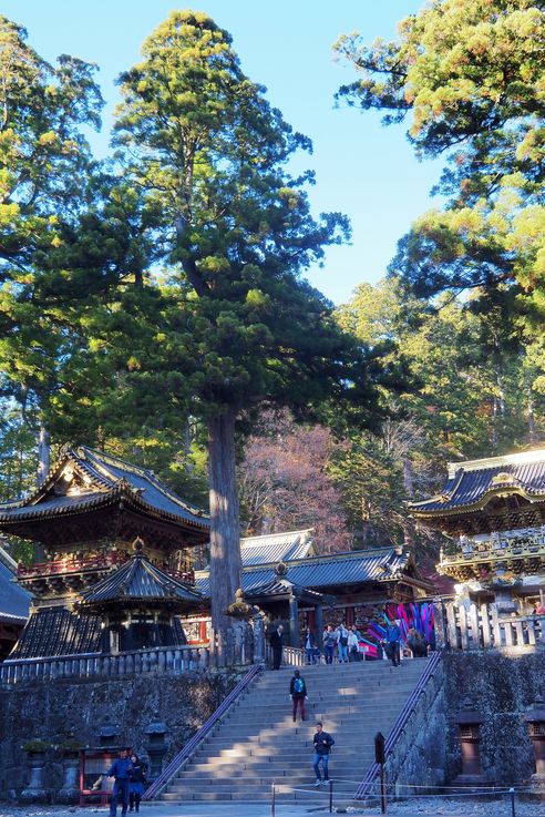 Nikko Toshogu
Altitude : 698 mètres