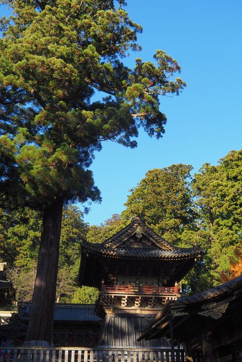 Nikko Toshogu
Altitude : 699 mètres