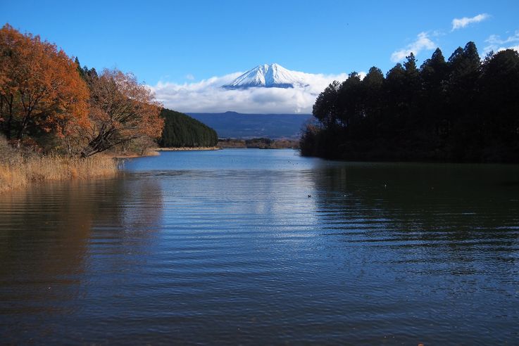 Lac Tanuki (Mont Fuji)
Altitude : 713 mètres