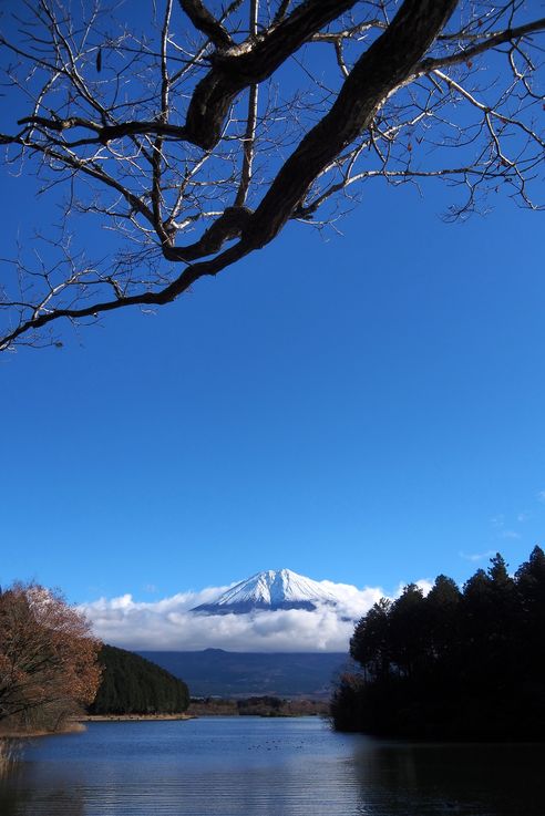 Lac Tanuki face au Mont Fuji
Altitude : 714 mètres