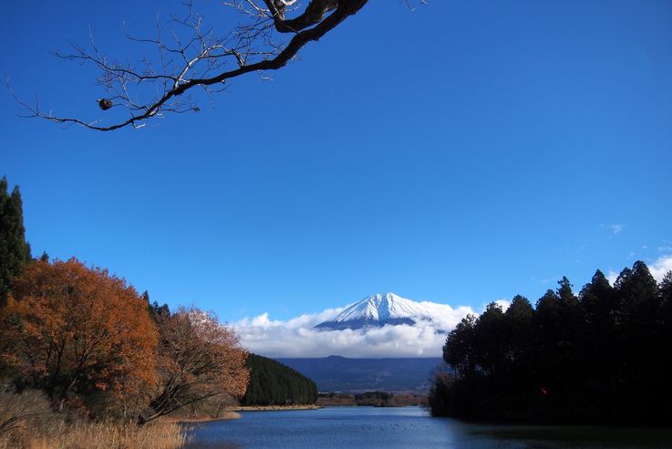Le Mont Fuji et le château d'Odawara
