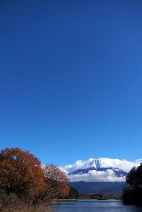 Lac Tanuki (Mont Fuji)
Altitude : 739 mètres