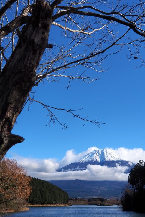 Lac Tanuki (Mont Fuji)
Altitude : 743 mètres