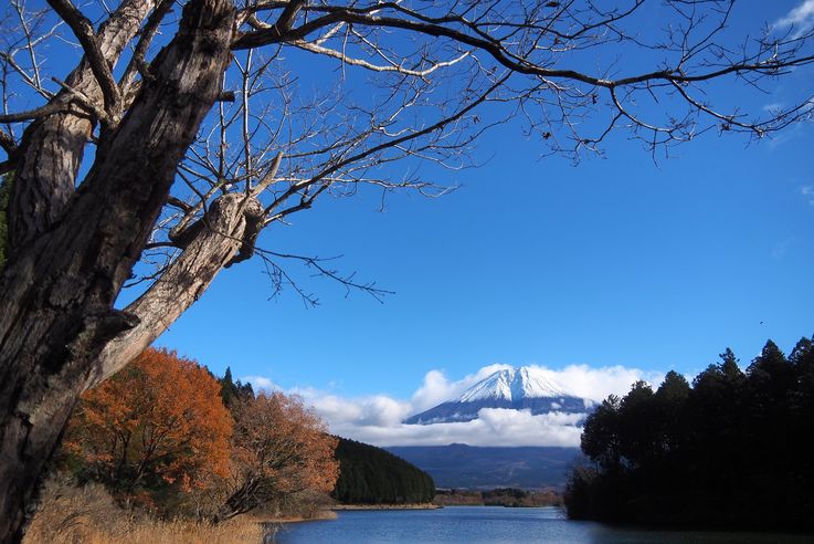 Lac Tanuki (Mont Fuji)
Altitude : 745 mètres