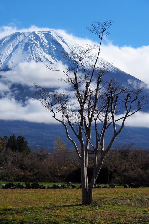 Mariage au Mont Fuji
Altitude : 881 mètres