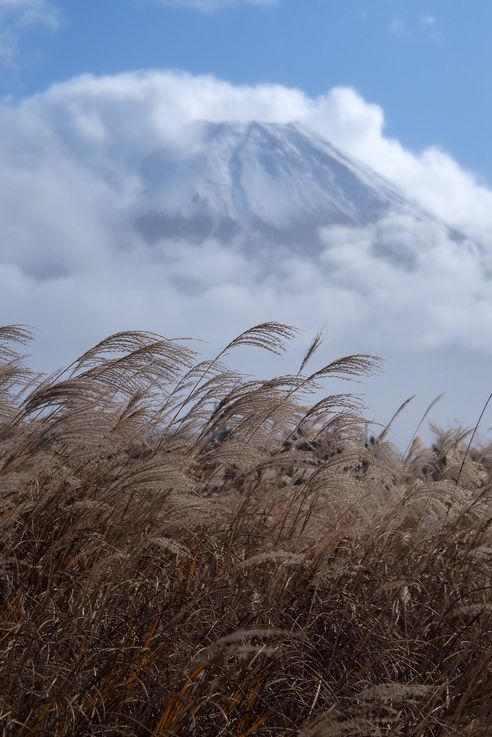 Mont Fuji
Altitude : 1009 mètres