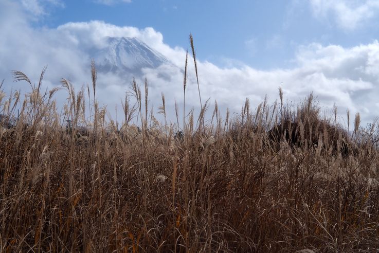 Mont Fuji
Altitude : 1008 mètres