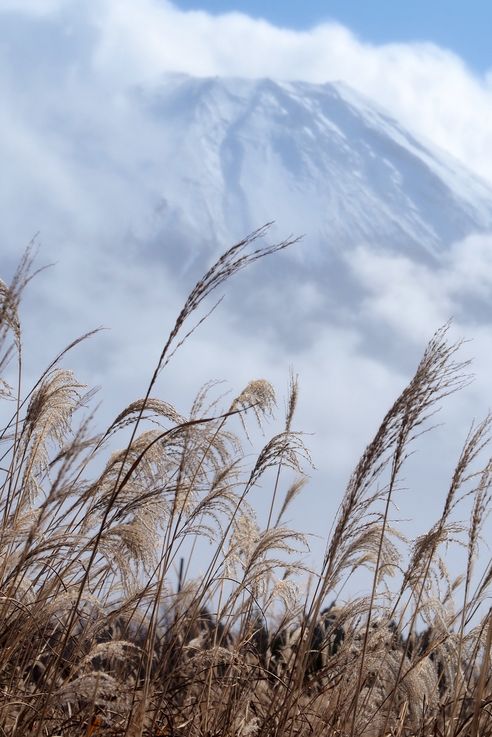 Mont Fuji
Altitude : 1009 mètres