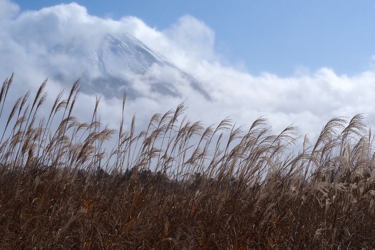 Mont Fuji
Altitude : 1013 mètres