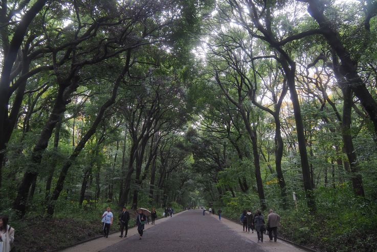 Parc Yoyogi (Tokyo)