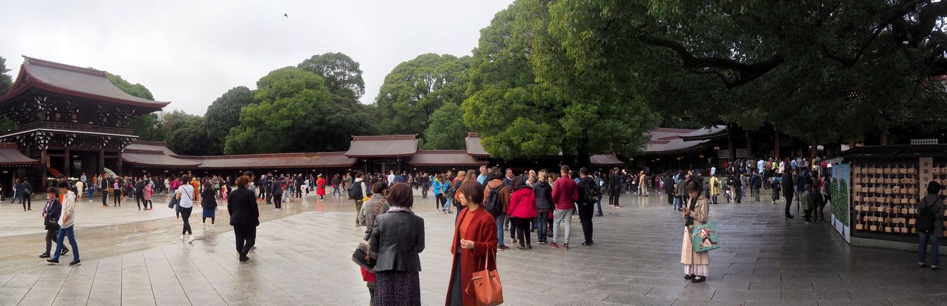 Sanctuaire Meiji Jingu (Parc Yoyogi Torii de Tokyo)
Altitude : 75 mètres