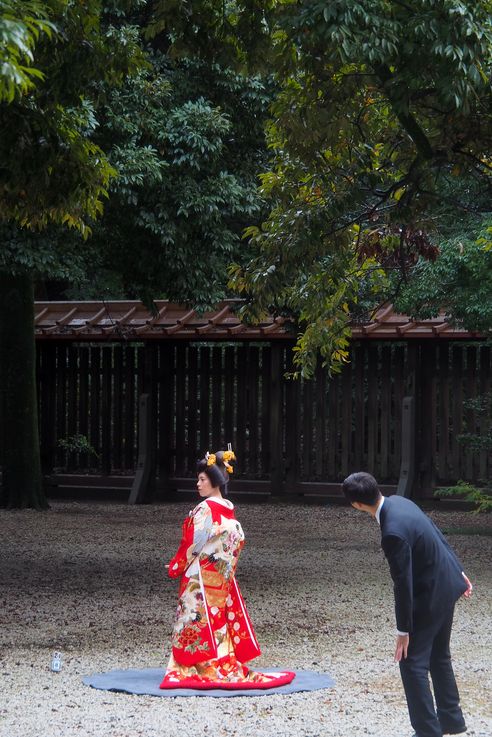 Sanctuaire Meiji Jingu (Parc Yoyogi Torii de Tokyo)
Altitude : 82 mètres