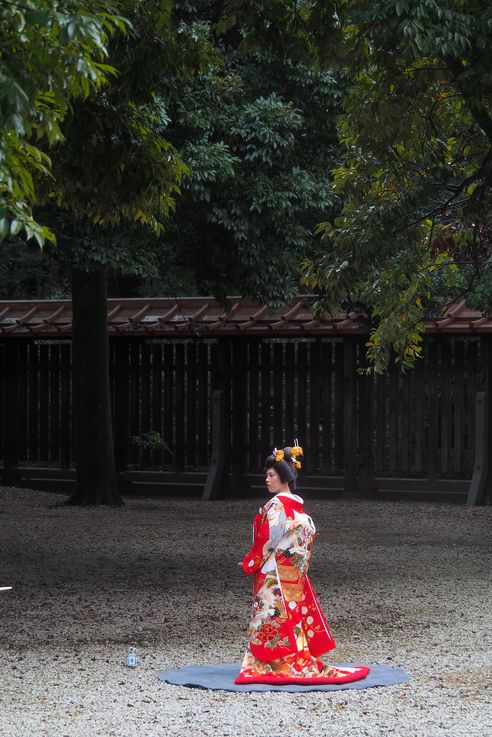 Sanctuaire Meiji Jingu (Parc Yoyogi Torii de Tokyo)
Altitude : 83 mètres