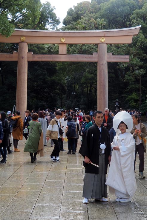 Sanctuaire Meiji Jingu (Parc Yoyogi Torii de Tokyo)
Altitude : 75 mètres