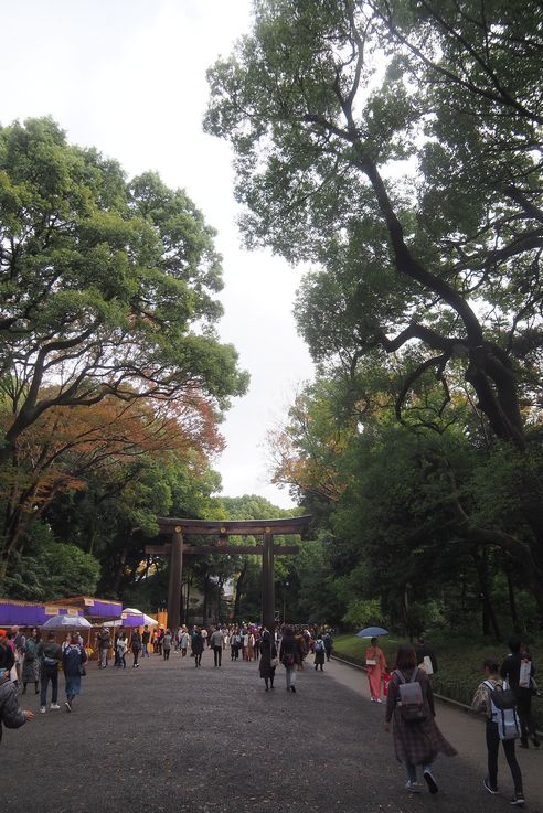 Parc Yoyogi (Tokyo)
Altitude : 81 mètres